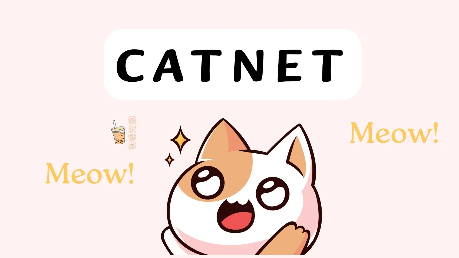 CATNET 机场官网 CATNET 机场官网