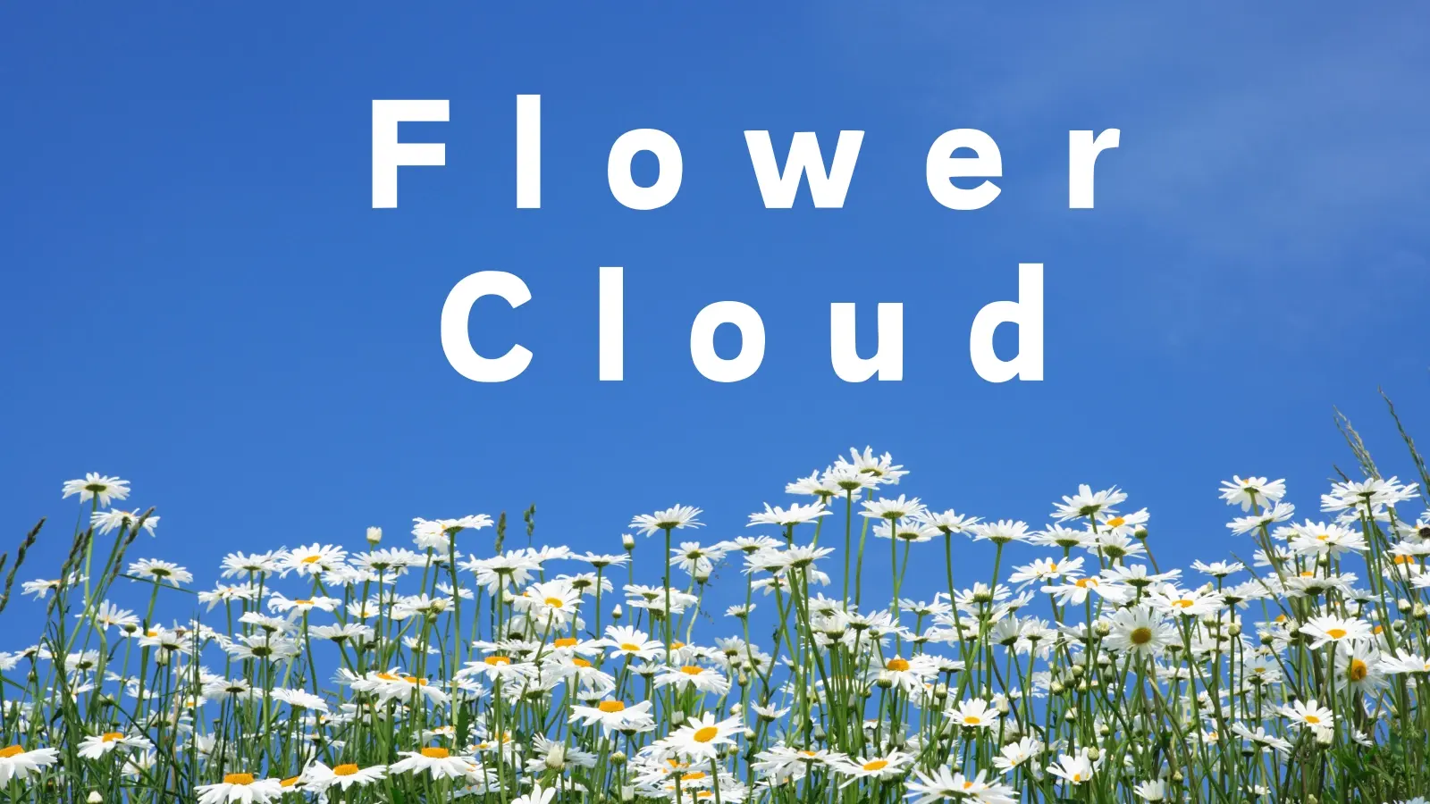 Flower Cloud 花云机场 Flower Cloud 花云机场