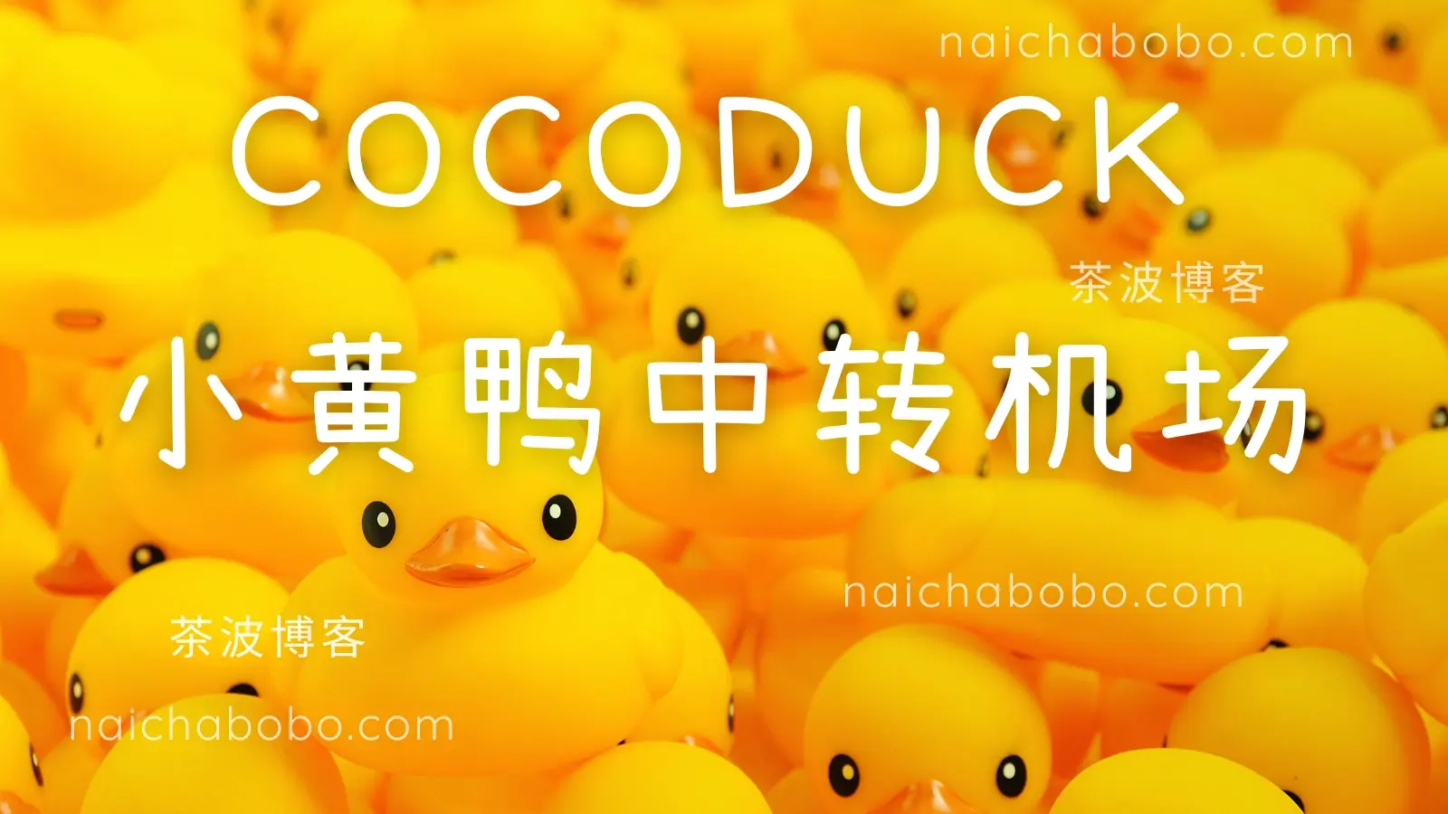 cocoduck 小黄鸭中转机场 cocoduck 小黄鸭中转机场